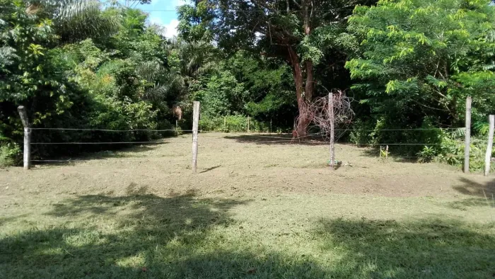 Venda de Terreno - Ilha de Cotijuba