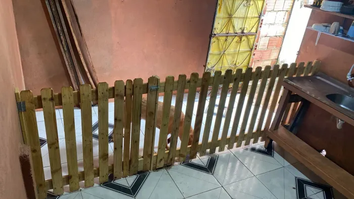 Portãozinho e cercados de paletes