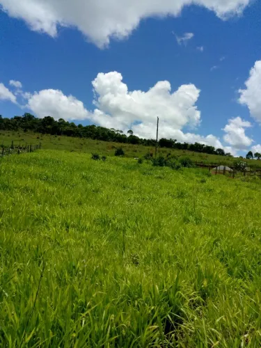 Lote à Venda em Capela MG - Região dos Ferreiras, Ótima Oportunidade!