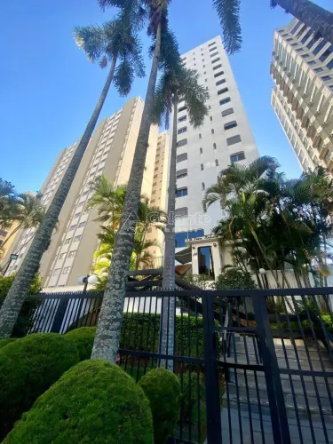 apartamento - Jardim Proença - Campinas