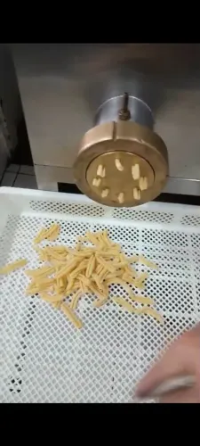 Extrusara pastaia 06