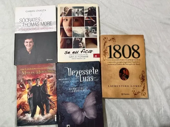 Vendo livros, consultar valor de cada no chat