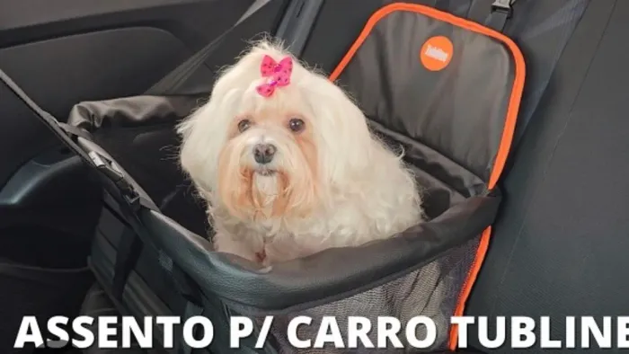 Cadeirinha PET e Cesto PET ( os dois)