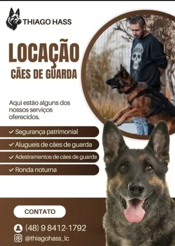 Aluguel de cães de guarda