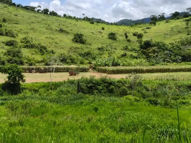 Fazenda de 275 ha em Além Paraíba, MG - R$21.500/ha