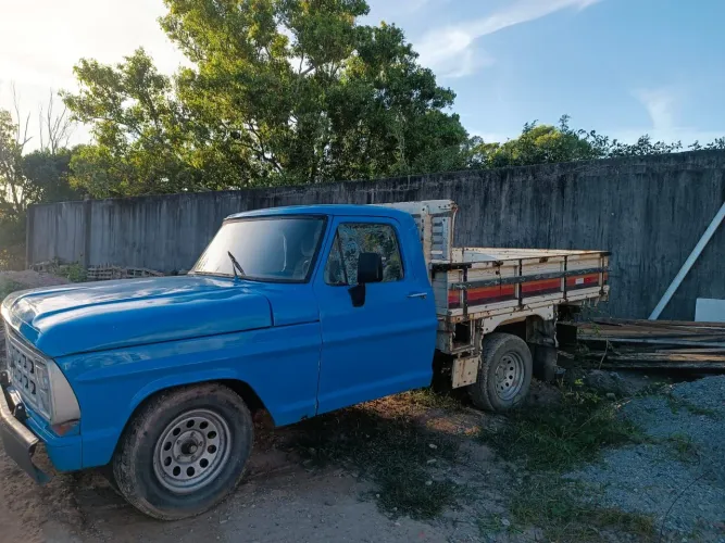 Caminhão F1000
