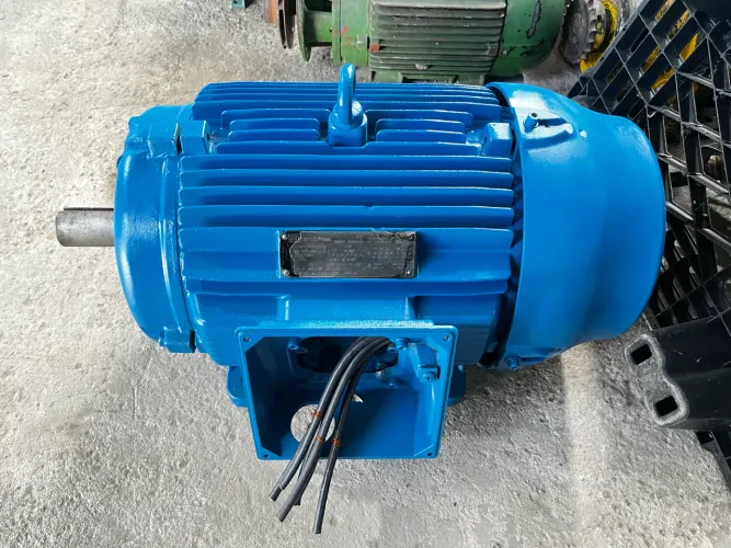 Motor 50 cv modelo novo weg