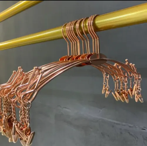 Cabides para Lingerie e Biquíni Luxuosos de Metal Rose Eletrostático. 