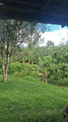Terreno Benevides oportunidade 