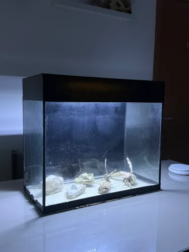 Aquário 168L com Luminária e Tampa