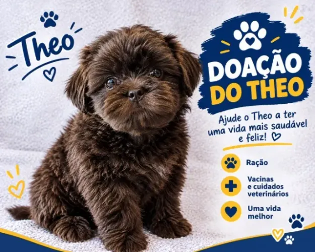 DOAÇÃO DO THÉO ;(