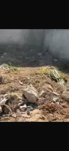 Terreno em vargem pequena