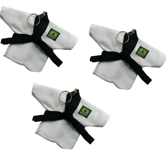 Chaveiro de Taekwondo