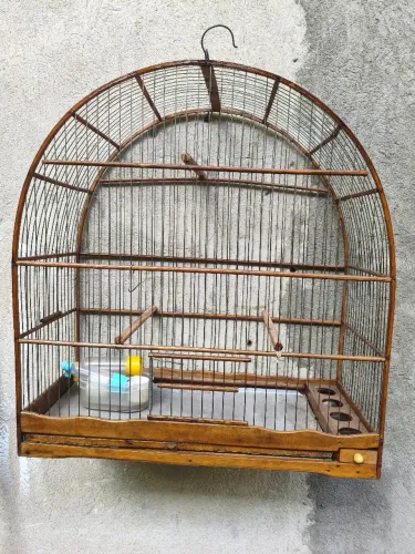  Gaiola 
