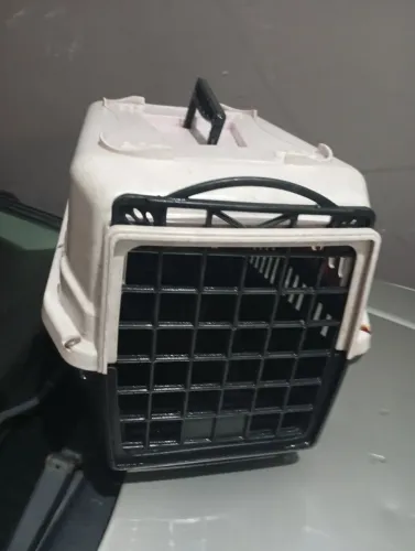 Caixa de gato