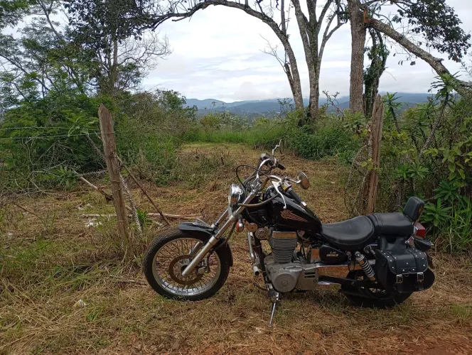 Savage ls 98 original 