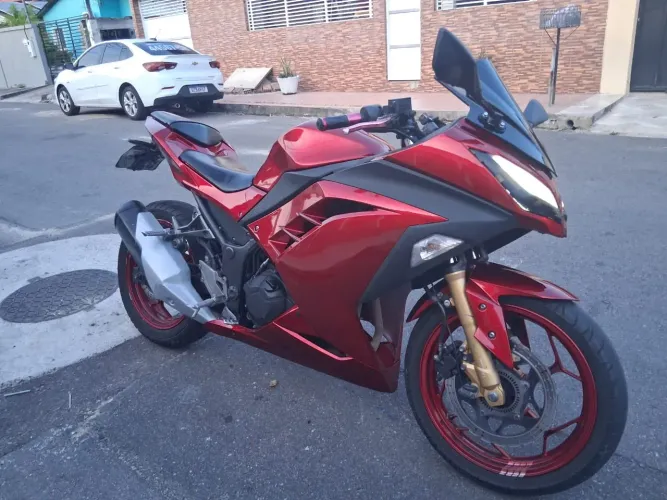 Kawasaki Ninja 300