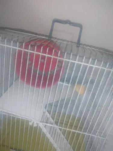 Gaiola para hamster 