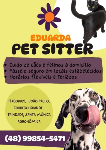 Pet Sitter e Dog Walker