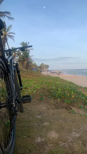 Bike aro 29 Tm 17