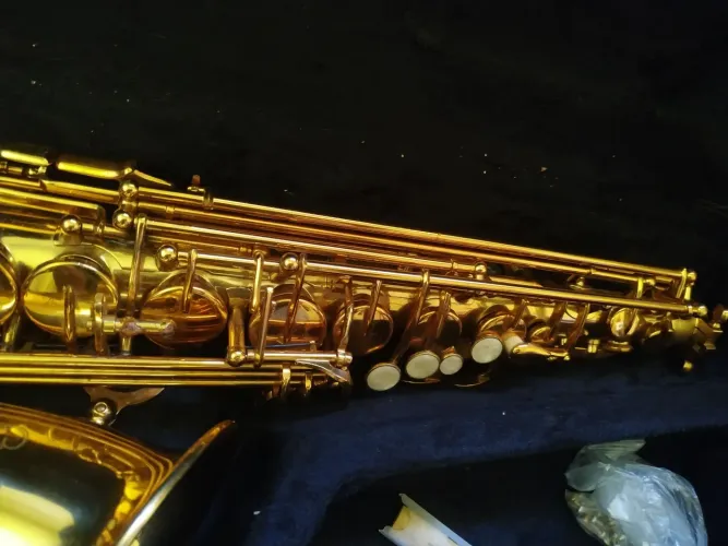 Sax Alto Custom Semi novo