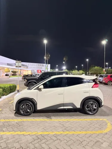 BYD Dolphin Mini (Elétrico) 2025