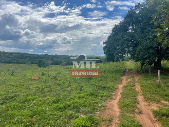 Fazenda Dupla Aptidão em Uruaçu-GO. (44 Alqueires)