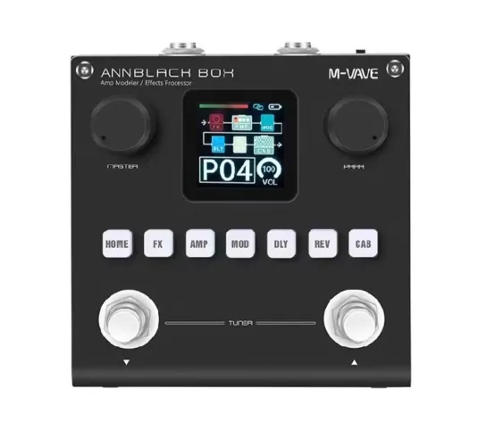 Pedal blackbox