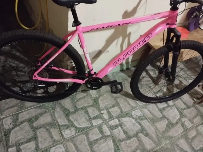 Bike 29 