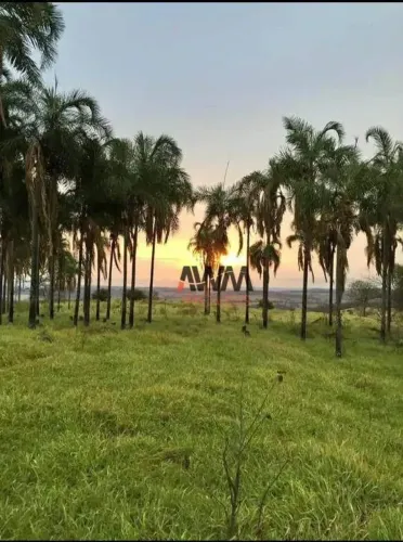 Fazenda à venda, 803924 m² por R$ 7.500.000,00 - Zona Rural - Trindade/GO