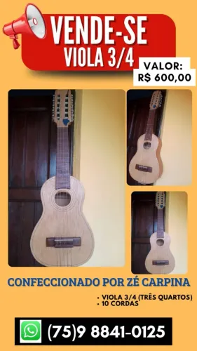 Viola 3/4 de 10 cordas