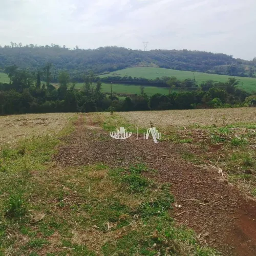 Chácara à venda, 24200 m² por R$ 540.000,00 - Zona Rural - Londrina/PR