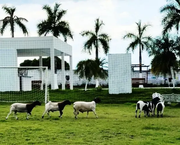 Belo sítio na BR 174 Km 5