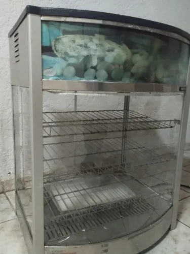 Estufa de salgados