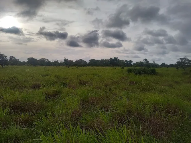 Terreno Próximo a Água Boa - Salvaterra
