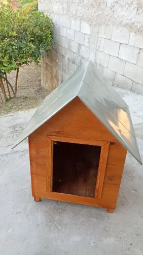 Casinha de cachorro semi-nova