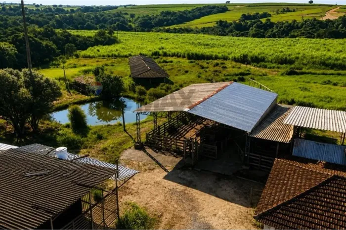Sítio à Venda em Cajuru SP | 20 Hectares, Cana, Piscicultura e Estrutura Completa