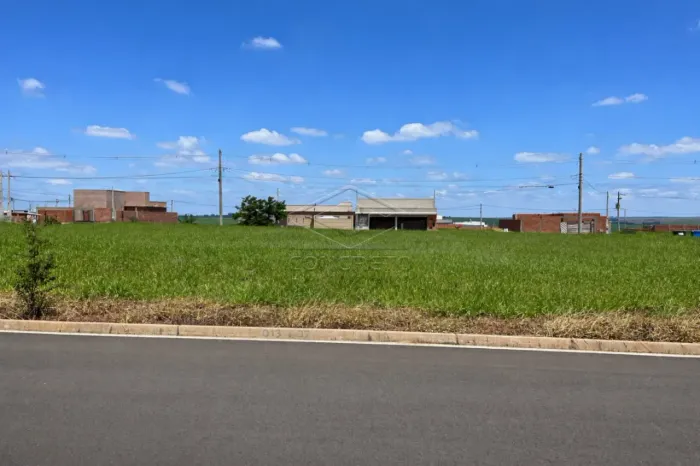 TERRENO IDEAL PARA MORAR OU ABRIR SEU NEGÓCIO