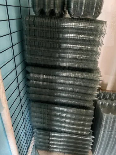 500 Embalagens Pet para 15ovos