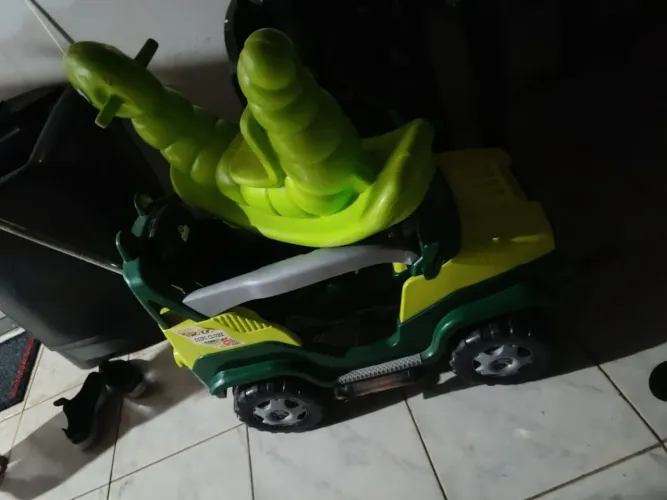 Carinho de passeio