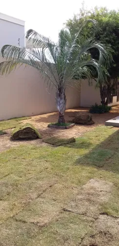 Jardinagem Grama Paisagismo Manutenção