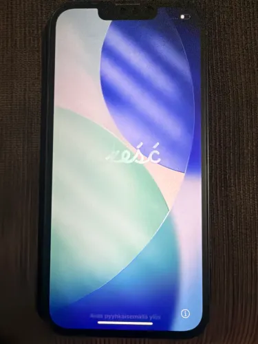 iPhone 13 256G