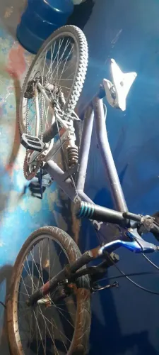 Bike $100