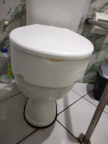 Ascento sanitário elevado para idosos