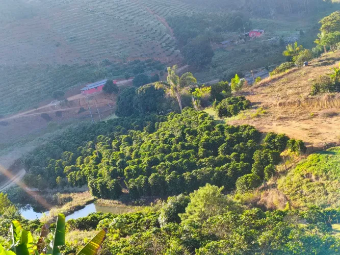 Chácara com café