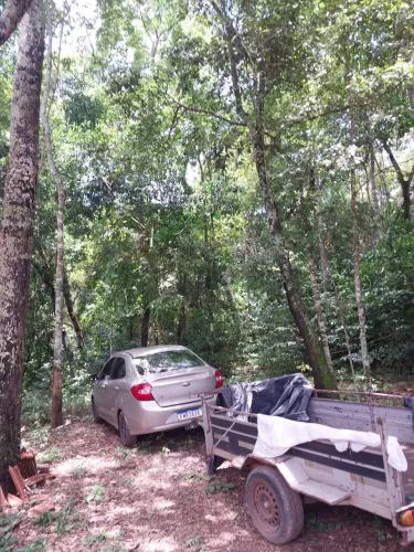Frete carretinha uberlândia e região. 