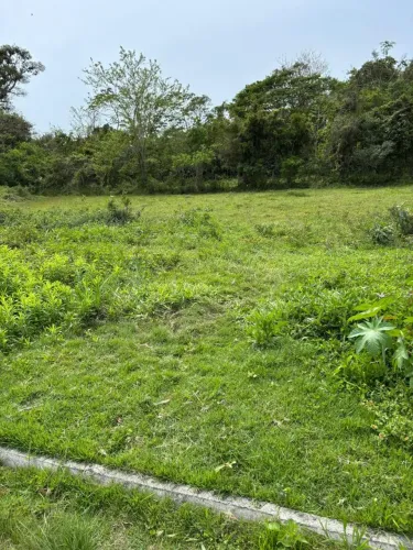Terreno no Bairro Ribeirão da Ilha com escritura pública