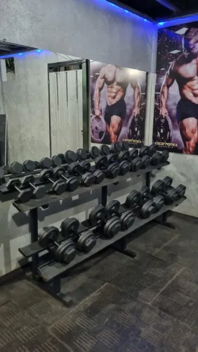 Oportunidade! Aparelhos de musculação