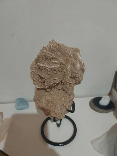 Rosa do deserto