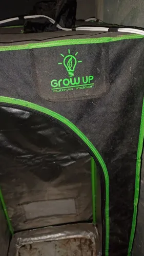 Tenda grow para cultivo indor tecido mylar refletivo 60x60x160
